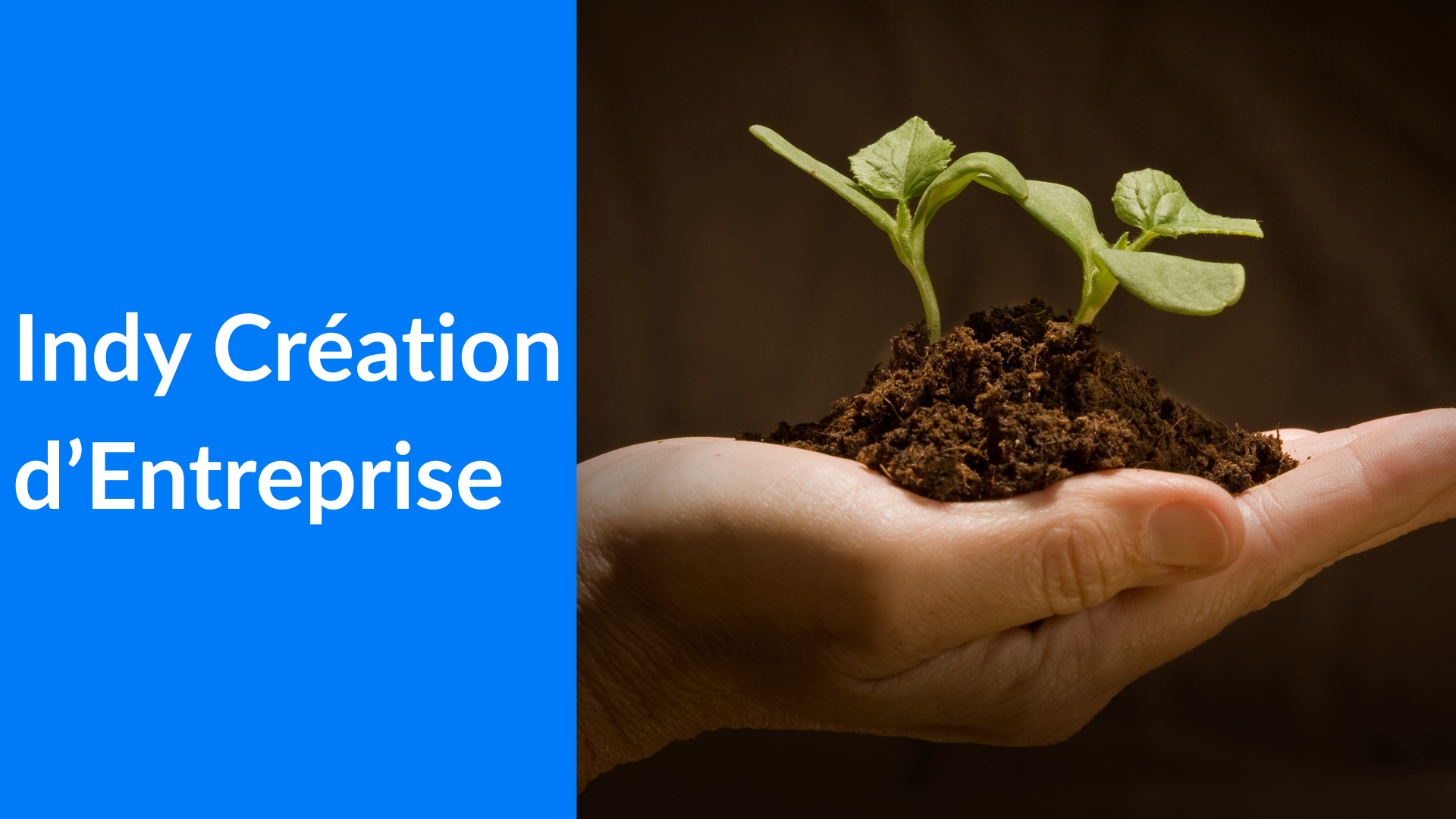 indy creation entreprise