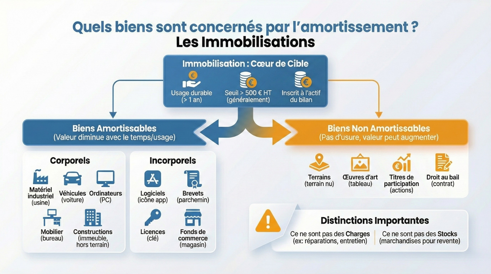 infographie les biens concernes par un amortissement